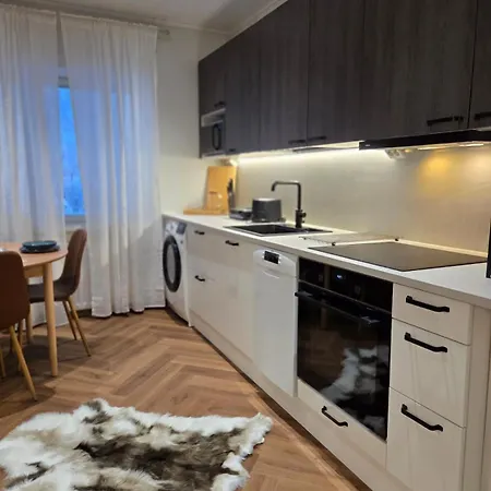 Luxury 3-bedroom For Up To 6 People In The Center Apartamento Rovaniemi
